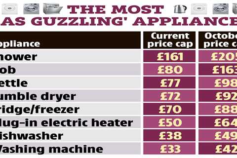 I’m an energy expert – the worst ‘gas guzzling’ appliances that you need to turn off NOW