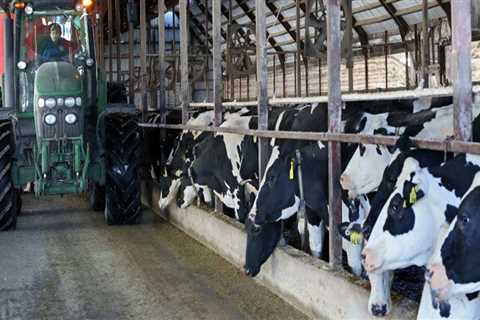 What Services Do Dairy Industries in Eau Claire, Wisconsin Offer to Their Customers?