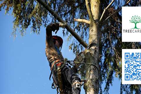 Branching Out For Profits: How Tree Pruning Services Impact Your Bethany Investment Property