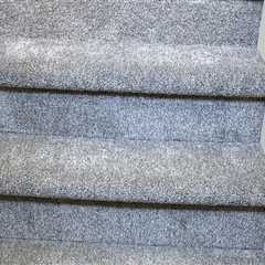 Transform Your Carpets Before You Sell: The Magic Of Hot Water Extraction In Boise, Idaho