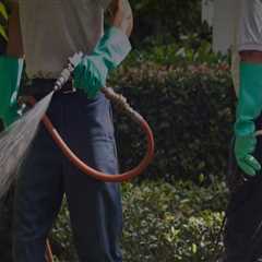Rodent Control Services In Fayetteville, GA: A Must-Do Before Any Fix And Flip