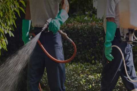 Rodent Control Services In Fayetteville, GA: A Must-Do Before Any Fix And Flip