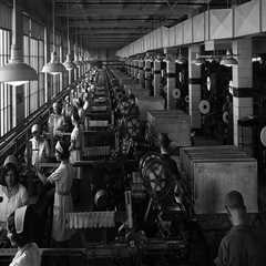 Empowering Minority-Owned Businesses in Northern Virginia