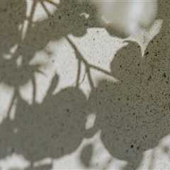 Flipping Houses with New Homebuilders in Austin, TX