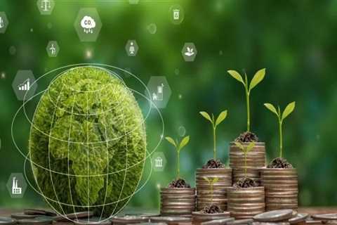 How Sustainable Investing Can Complement a Smart Debt Relief Program